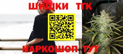 индика Заволжье