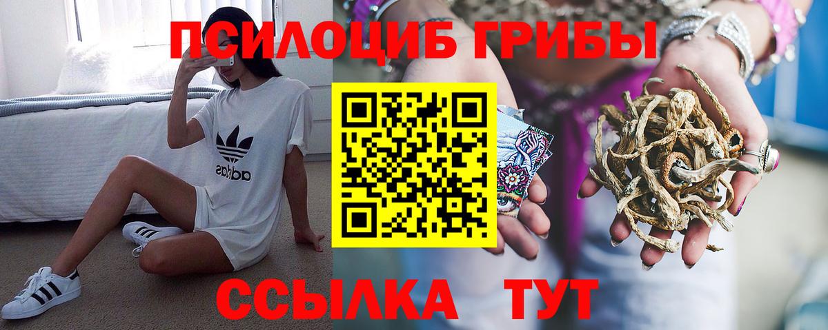 Галлюциногенные грибы мицелий  Вход с VPN  Минеральные Воды 